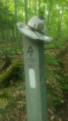 Mile Marker 1730 on the Appalachian Trail