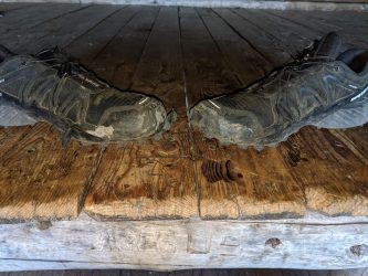 Alan's Salomon Speedcross Trail Runners after 1,000 miles on the Appalachian Trail