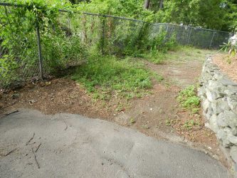 The original pathway was overgrown and ended abruptly into the woods.